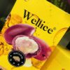 شامپو ضد ریزش ویلایس (Wellice) مدل  ARGAN KERATIN & C1 حجم 800 میل